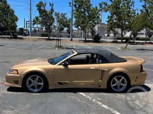 2000 Ford Mustang Saleen 28K-5SPD-ONE OWNER